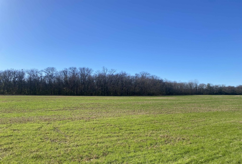 0 DECLAN LN, Savannah, Tennessee 38372, 0 , 0 ,0,Land,For Sale,DECLAN,0,10228818
