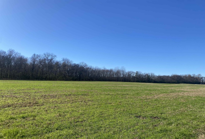 0 DECLAN LN, Savannah, Tennessee 38372, 0 , 0 ,0,Land,For Sale,DECLAN,0,10228818