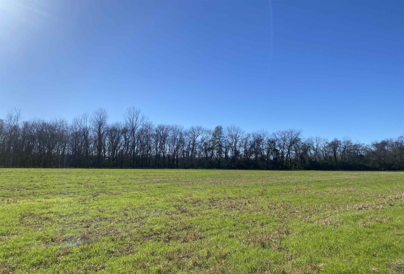 0 DECLAN LN, Savannah, Tennessee 38372, 0 , 0 ,0,Land,For Sale,DECLAN,0,10228818