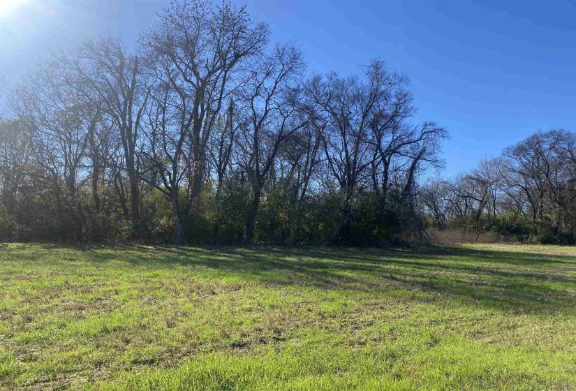 0 DECLAN LN, Savannah, Tennessee 38372, 0 , 0 ,0,Land,For Sale,DECLAN,0,10228818