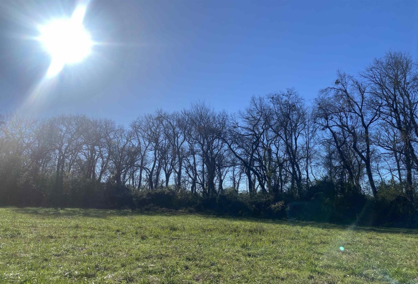0 DECLAN LN, Savannah, Tennessee 38372, 0 , 0 ,0,Land,For Sale,DECLAN,0,10228818