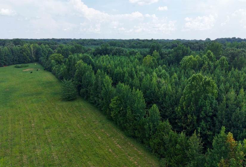 2639 REID HOOKER RD, Eads, Tennessee 38028, 0 , 0 ,0,Land,For Sale,REID HOOKER,0,10228819