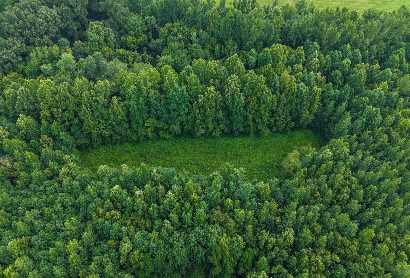 2639 REID HOOKER RD, Eads, Tennessee 38028, 0 , 0 ,0,Land,For Sale,REID HOOKER,0,10228819