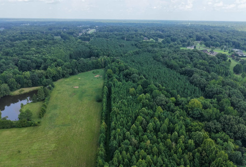 2639 REID HOOKER RD, Eads, Tennessee 38028, 0 , 0 ,0,Land,For Sale,REID HOOKER,0,10228819
