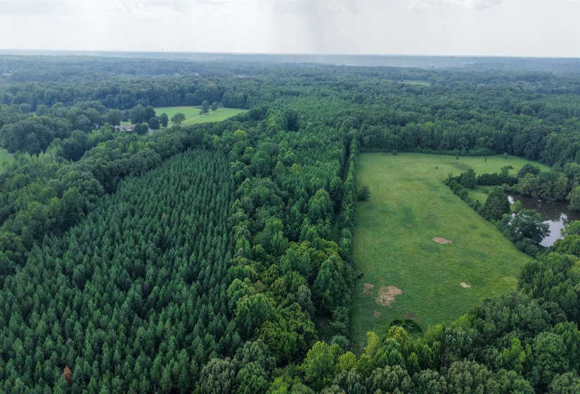 2639 REID HOOKER RD, Eads, Tennessee 38028, 0 , 0 ,0,Land,For Sale,REID HOOKER,0,10228819