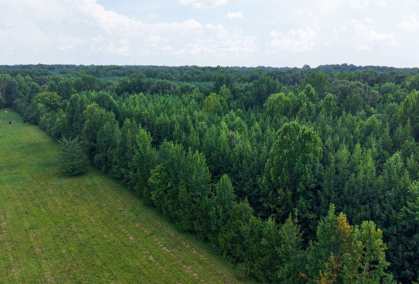 2639 REID HOOKER RD, Eads, Tennessee 38028, 0 , 0 ,0,Land,For Sale,REID HOOKER,0,10228819