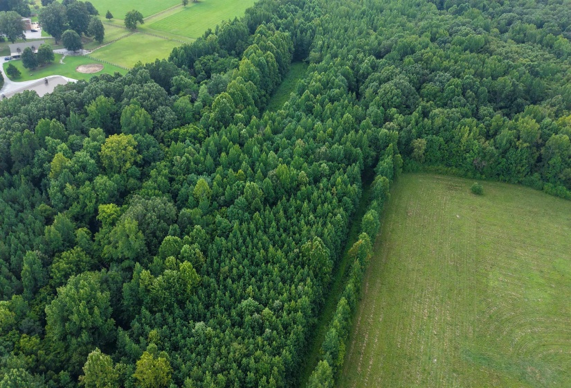 2639 REID HOOKER RD, Eads, Tennessee 38028, 0 , 0 ,0,Land,For Sale,REID HOOKER,0,10228819