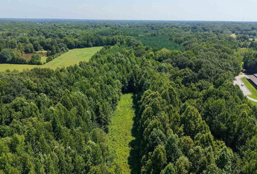 2639 REID HOOKER RD, Eads, Tennessee 38028, 0 , 0 ,0,Land,For Sale,REID HOOKER,0,10228819