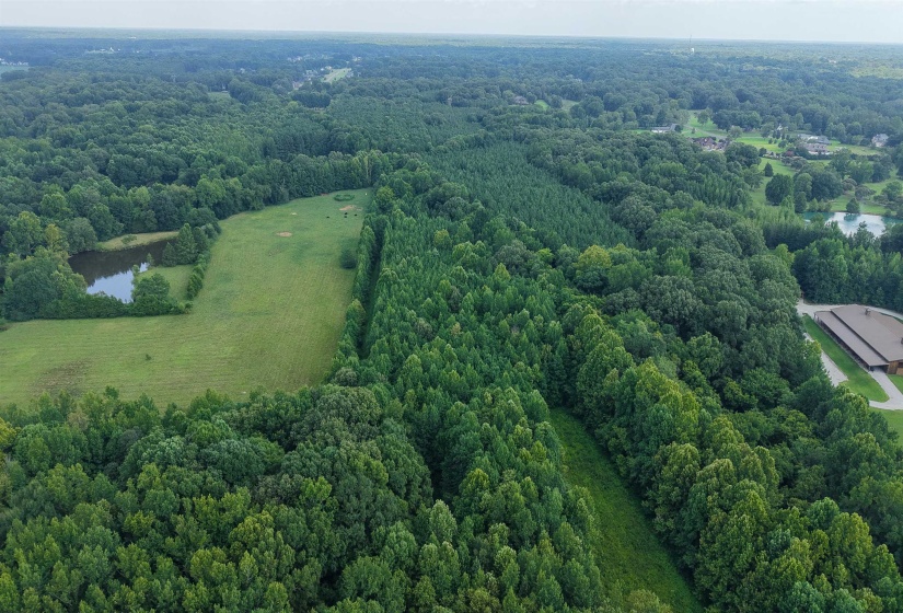2639 REID HOOKER RD, Eads, Tennessee 38028, 0 , 0 ,0,Land,For Sale,REID HOOKER,0,10228819