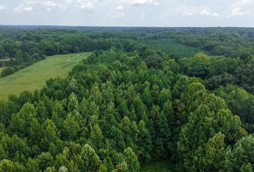 2639 REID HOOKER RD, Eads, Tennessee 38028, 0 , 0 ,0,Land,For Sale,REID HOOKER,0,10228819
