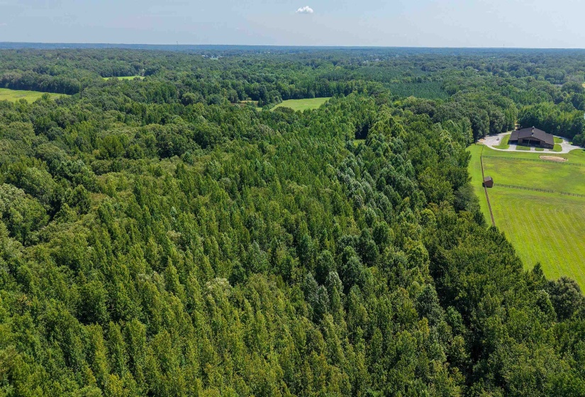 2639 REID HOOKER RD, Eads, Tennessee 38028, 0 , 0 ,0,Land,For Sale,REID HOOKER,0,10228819