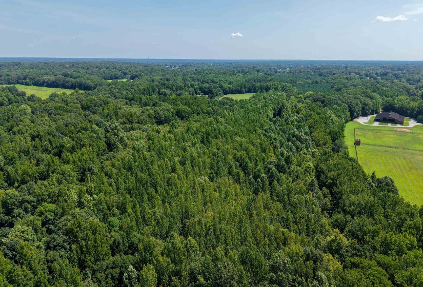 2639 REID HOOKER RD, Eads, Tennessee 38028, 0 , 0 ,0,Land,For Sale,REID HOOKER,0,10228819