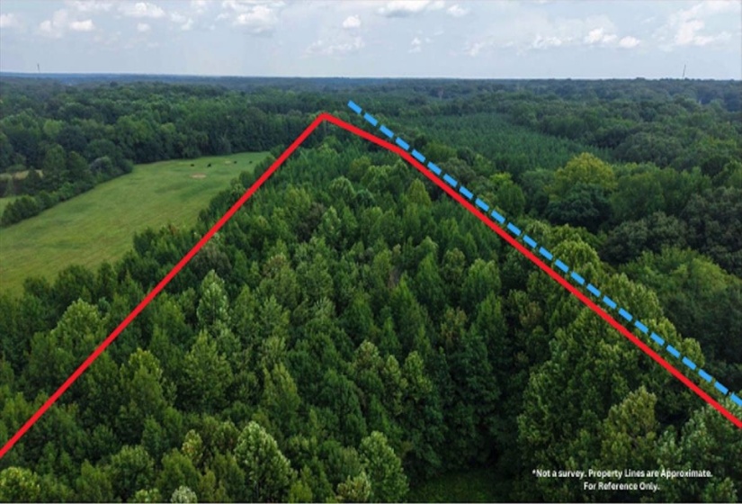 2639 REID HOOKER RD, Eads, Tennessee 38028, 0 , 0 ,0,Land,For Sale,REID HOOKER,0,10228819
