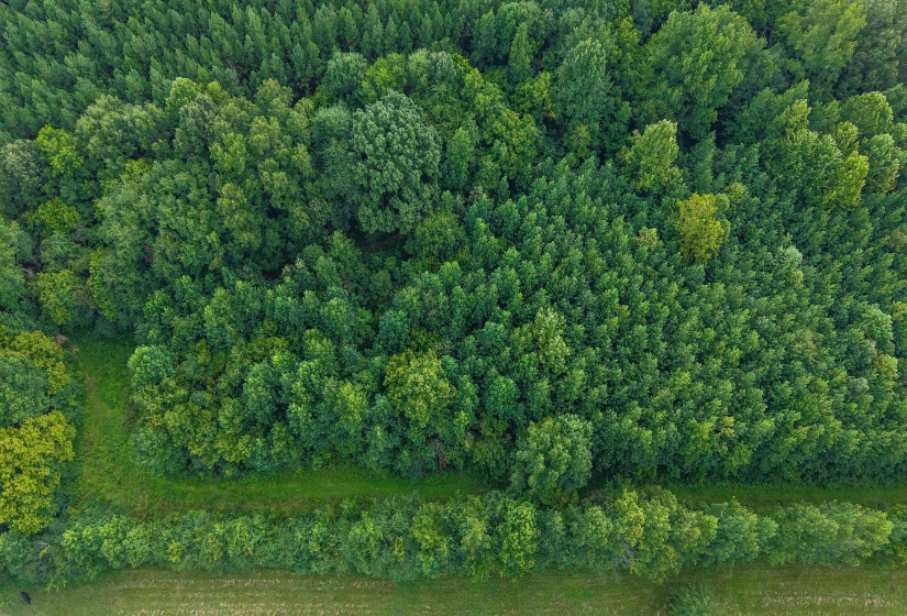 2639 REID HOOKER RD, Eads, Tennessee 38028, 0 , 0 ,0,Land,For Sale,REID HOOKER,0,10228819