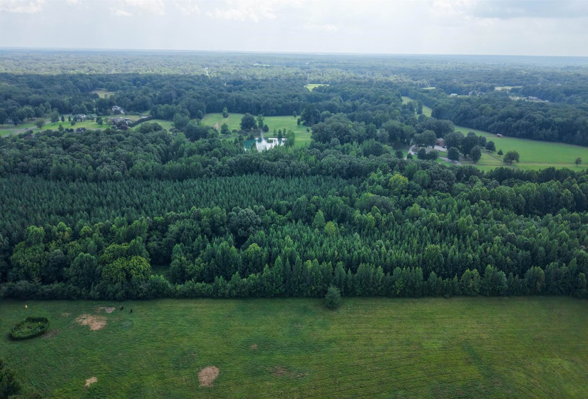 2639 REID HOOKER RD, Eads, Tennessee 38028, 0 , 0 ,0,Land,For Sale,REID HOOKER,0,10228819