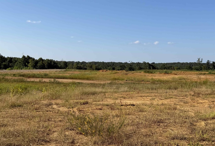 0 APPLE TREE LN, Crump, Tennessee 38327, 0 , 0 ,0,Land,For Sale,APPLE TREE,0,10228834