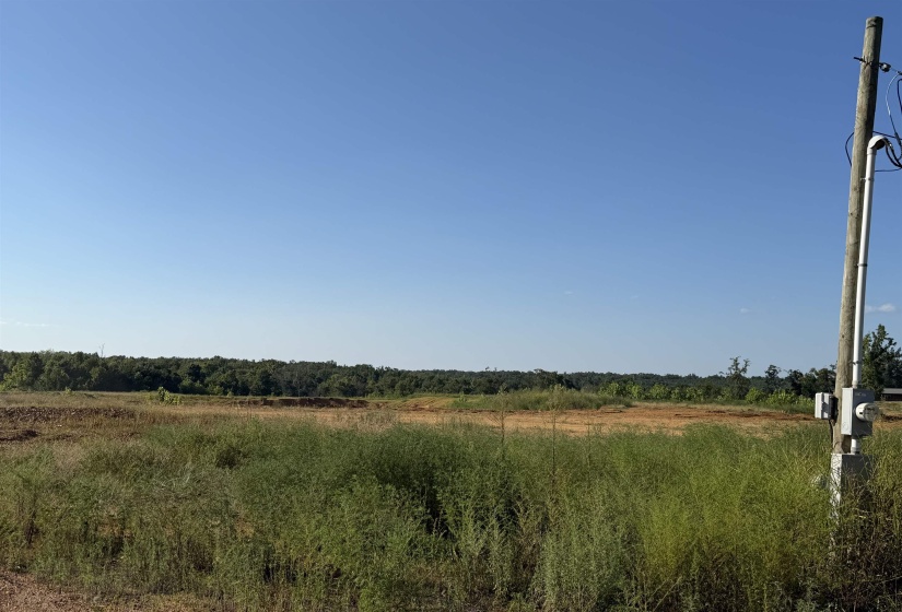 0 APPLE TREE LN, Crump, Tennessee 38327, 0 , 0 ,0,Land,For Sale,APPLE TREE,0,10228834