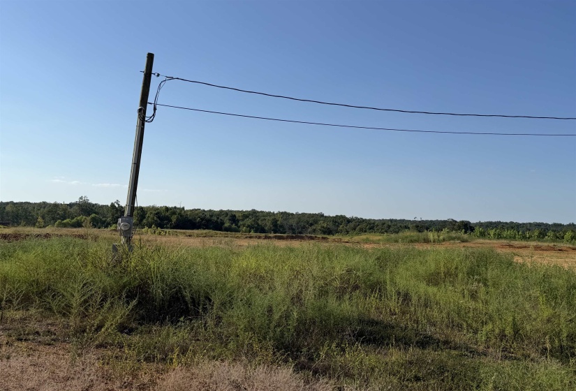 0 APPLE TREE LN, Crump, Tennessee 38327, 0 , 0 ,0,Land,For Sale,APPLE TREE,0,10228834
