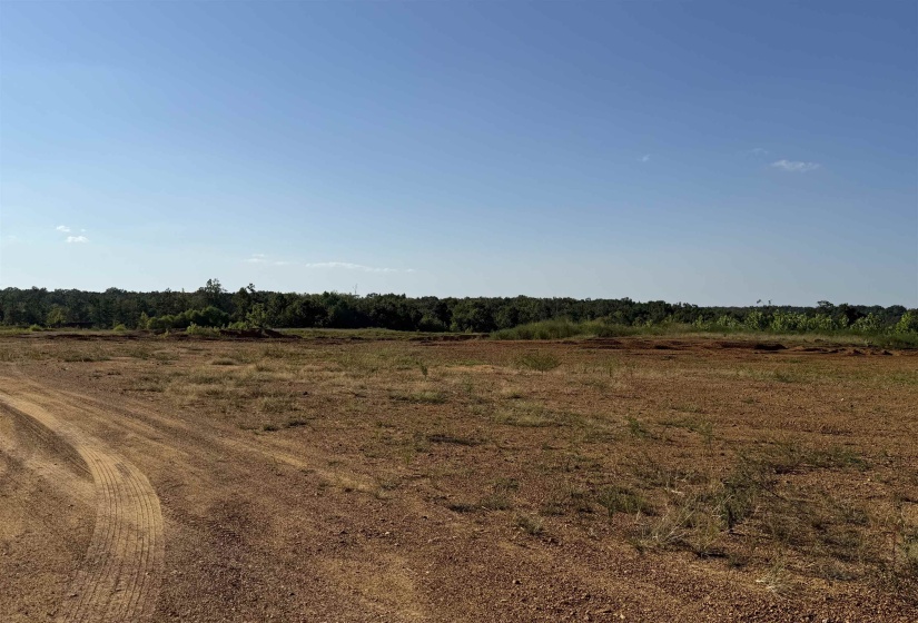 0 APPLE TREE LN, Crump, Tennessee 38327, 0 , 0 ,0,Land,For Sale,APPLE TREE,0,10228834