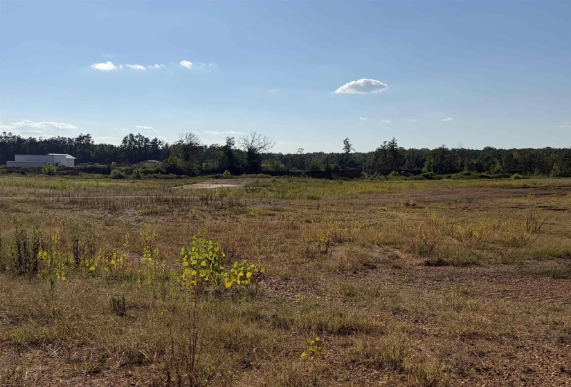 0 APPLE TREE LN, Crump, Tennessee 38327, 0 , 0 ,0,Land,For Sale,APPLE TREE,0,10228834
