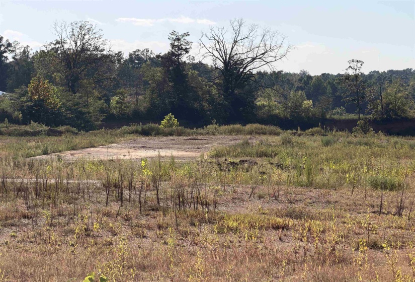 0 APPLE TREE LN, Crump, Tennessee 38327, 0 , 0 ,0,Land,For Sale,APPLE TREE,0,10228834