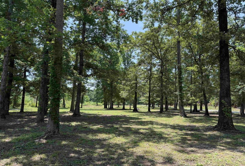 730 OLD UNION RD, Adamsville, Tennessee 38310, 2 Bedroom Bedrooms, 6 Room Rooms,2 BathroomBathrooms,Residential,For Sale,OLD UNION,0,10228795