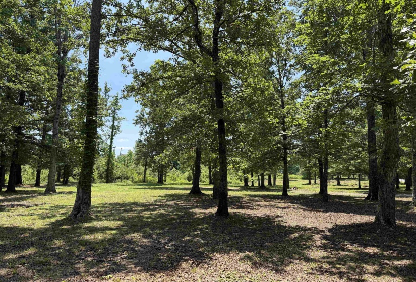 730 OLD UNION RD, Adamsville, Tennessee 38310, 2 Bedroom Bedrooms, 6 Room Rooms,2 BathroomBathrooms,Residential,For Sale,OLD UNION,0,10228795