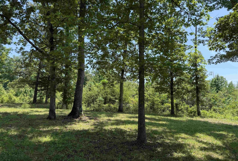 730 OLD UNION RD, Adamsville, Tennessee 38310, 2 Bedroom Bedrooms, 6 Room Rooms,2 BathroomBathrooms,Residential,For Sale,OLD UNION,0,10228795