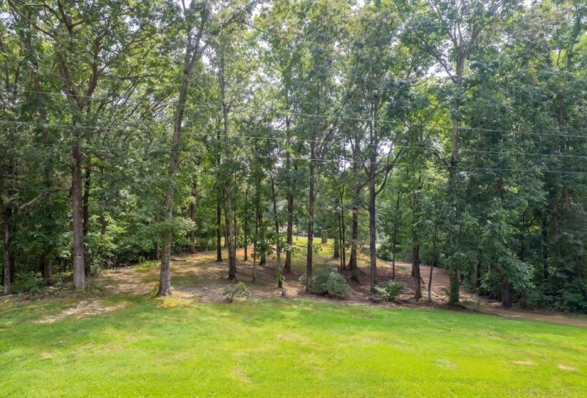 2445 PITTMAN RD, Somerville, Tennessee 38068, 3 Bedroom Bedrooms, 7 Room Rooms,2.1 BathroomBathrooms,Residential,For Sale,PITTMAN,0,10228830