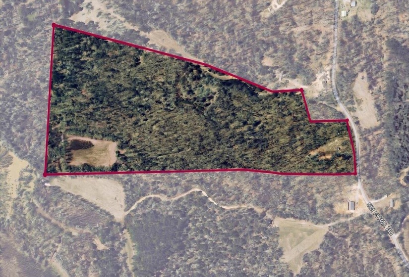 2445 PITTMAN RD, Somerville, Tennessee 38068, 3 Bedroom Bedrooms, 7 Room Rooms,2.1 BathroomBathrooms,Residential,For Sale,PITTMAN,0,10228830