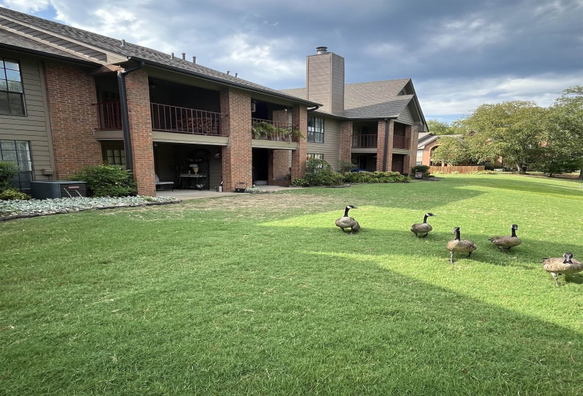 6646 PONDSIDE CIR, Memphis, Tennessee 38119, 2 Bedroom Bedrooms, 5 Room Rooms,1 BathroomBathrooms,Residential,For Sale,PONDSIDE,0,10228832