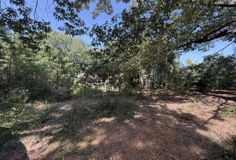 6555 RABBIT CREEK RD, Buchanan, Tennessee 38222, 3 Bedroom Bedrooms, 9 Room Rooms,1.1 BathroomBathrooms,Residential,For Sale,RABBIT CREEK,0,10228836