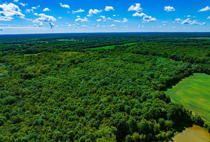 0 S VETERANS DR, Huntingdon, Tennessee 38344, 0 , 0 ,0,Land,For Sale,S VETERANS,0,10228860