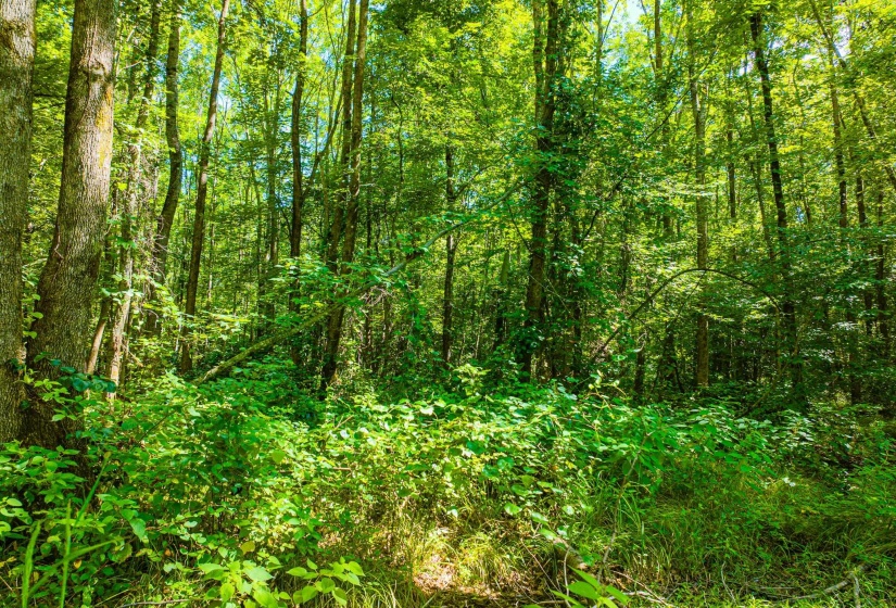 0 S VETERANS DR, Huntingdon, Tennessee 38344, 0 , 0 ,0,Land,For Sale,S VETERANS,0,10228860