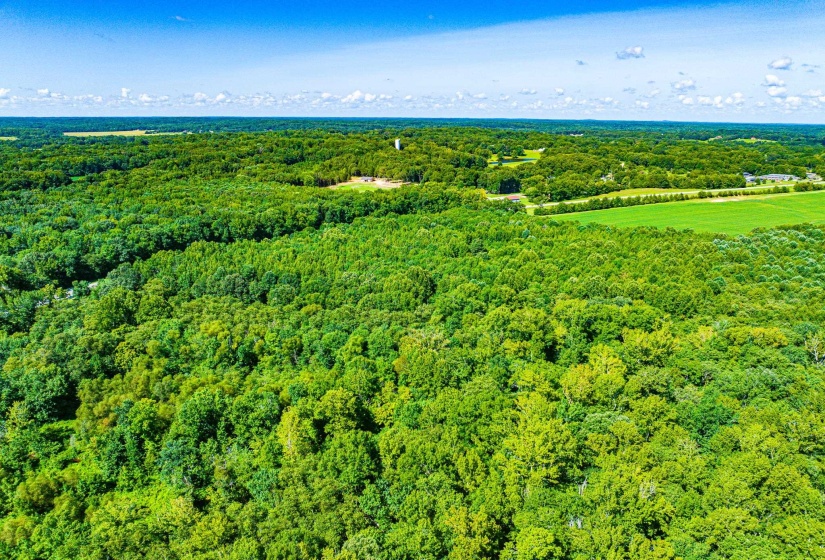 0 S VETERANS DR, Huntingdon, Tennessee 38344, 0 , 0 ,0,Land,For Sale,S VETERANS,0,10228860