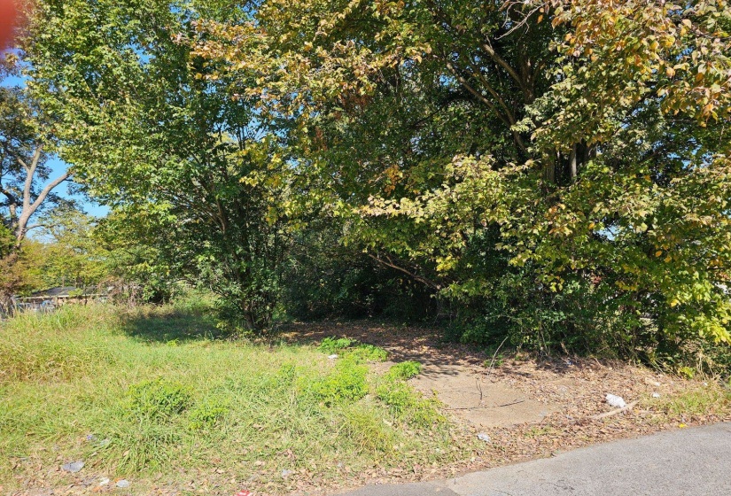 284 MODDER AVE, Memphis, Tennessee 38109, 0 , 0 ,0,Land,For Sale,MODDER,0,10228862