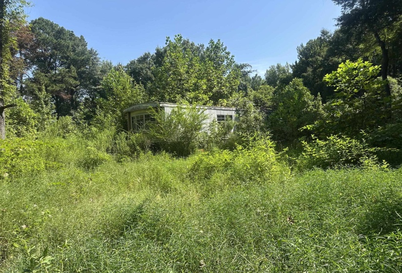 7700 PLEASANT RIDGE RD, Arlington, Tennessee 38002, 0 , 0 ,0,Land,For Sale,PLEASANT RIDGE,0,10228884