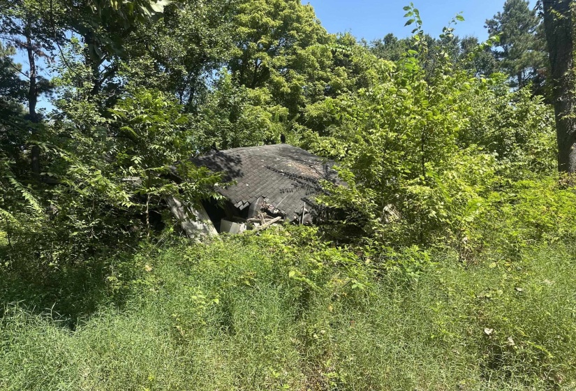 7700 PLEASANT RIDGE RD, Arlington, Tennessee 38002, 0 , 0 ,0,Land,For Sale,PLEASANT RIDGE,0,10228884