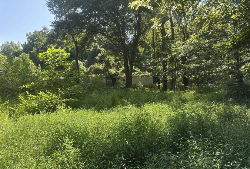 7700 PLEASANT RIDGE RD, Arlington, Tennessee 38002, 0 , 0 ,0,Land,For Sale,PLEASANT RIDGE,0,10228884
