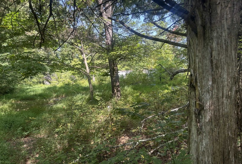 7700 PLEASANT RIDGE RD, Arlington, Tennessee 38002, 0 , 0 ,0,Land,For Sale,PLEASANT RIDGE,0,10228884