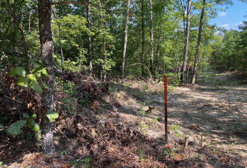 OTIS PAINE RD, Bethel Springs, Tennessee 38315, 0 , 0 ,0,Land,For Sale,OTIS PAINE,0,10228885