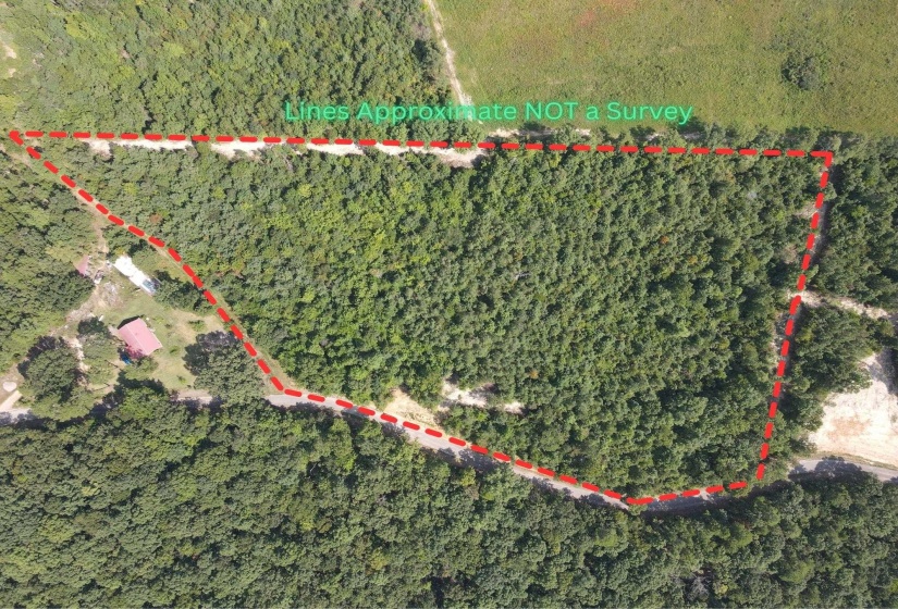 OTIS PAINE RD, Bethel Springs, Tennessee 38315, 0 , 0 ,0,Land,For Sale,OTIS PAINE,0,10228885