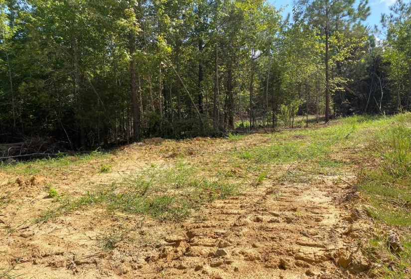 OTIS PAINE RD, Bethel Springs, Tennessee 38315, 0 , 0 ,0,Land,For Sale,OTIS PAINE,0,10228885