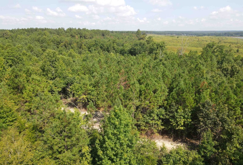 OTIS PAINE RD, Bethel Springs, Tennessee 38315, 0 , 0 ,0,Land,For Sale,OTIS PAINE,0,10228885
