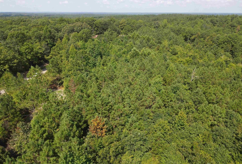 OTIS PAINE RD, Bethel Springs, Tennessee 38315, 0 , 0 ,0,Land,For Sale,OTIS PAINE,0,10228885
