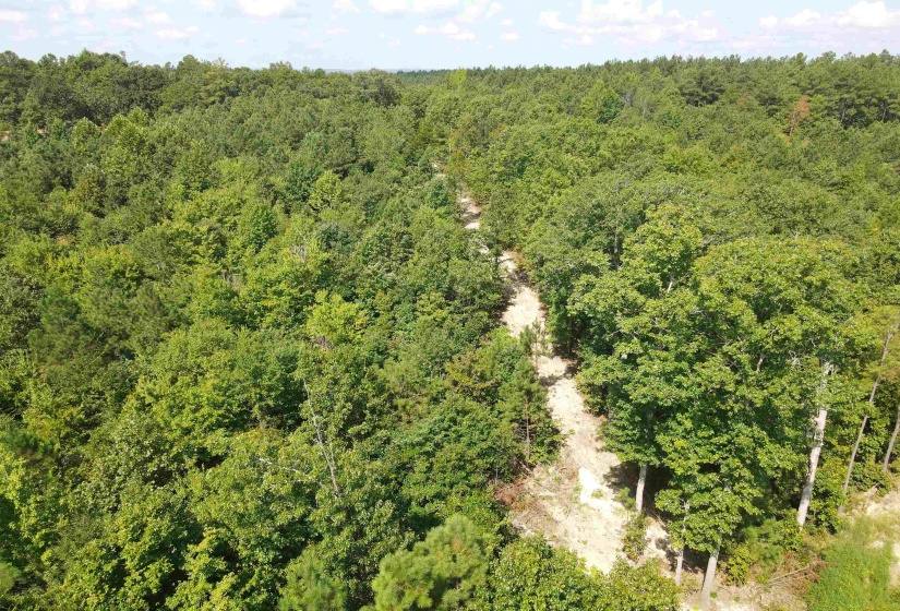 OTIS PAINE RD, Bethel Springs, Tennessee 38315, 0 , 0 ,0,Land,For Sale,OTIS PAINE,0,10228885
