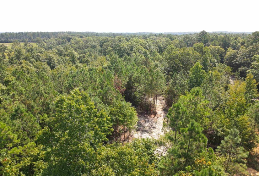 OTIS PAINE RD, Bethel Springs, Tennessee 38315, 0 , 0 ,0,Land,For Sale,OTIS PAINE,0,10228885