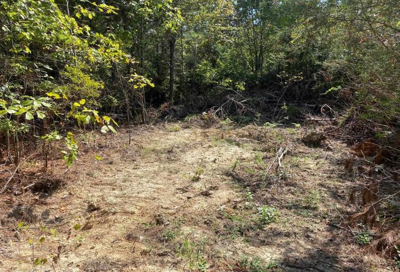 OTIS PAINE RD, Bethel Springs, Tennessee 38315, 0 , 0 ,0,Land,For Sale,OTIS PAINE,0,10228885