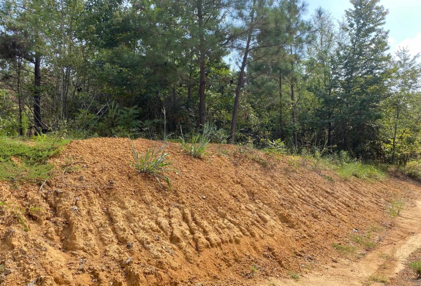 OTIS PAINE RD, Bethel Springs, Tennessee 38315, 0 , 0 ,0,Land,For Sale,OTIS PAINE,0,10228885