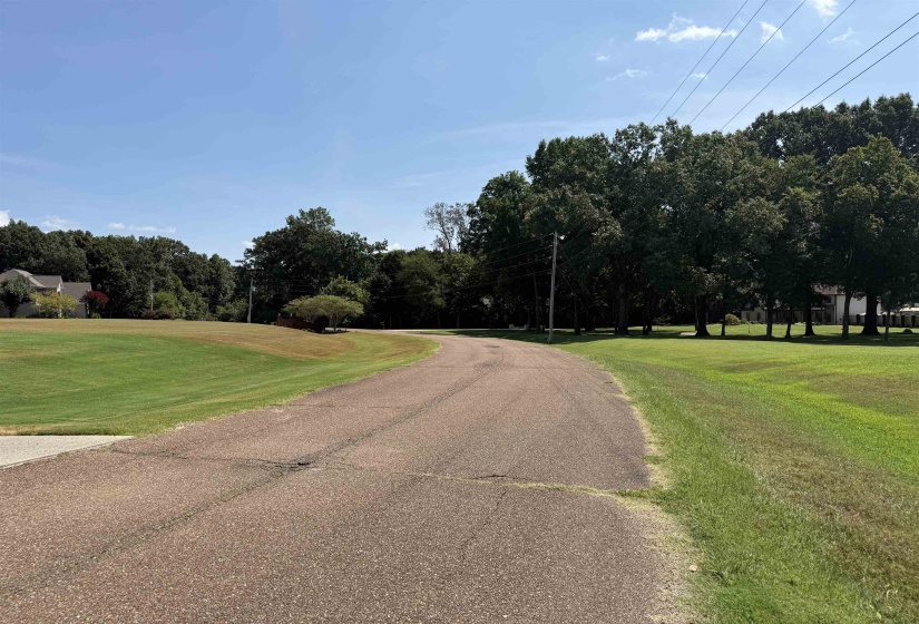 175 BRADMEADOW LN, Somerville, Tennessee 38068, 0 , 0 ,0,Land,For Sale,BRADMEADOW,0,10228901